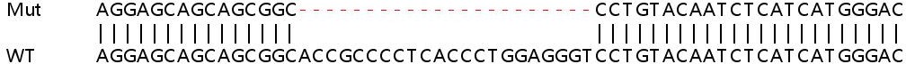 Sanger Sequencing - Human BBC3 (PUMA) knockout HeLa cell lysate (AB256848), expandable thumbnail