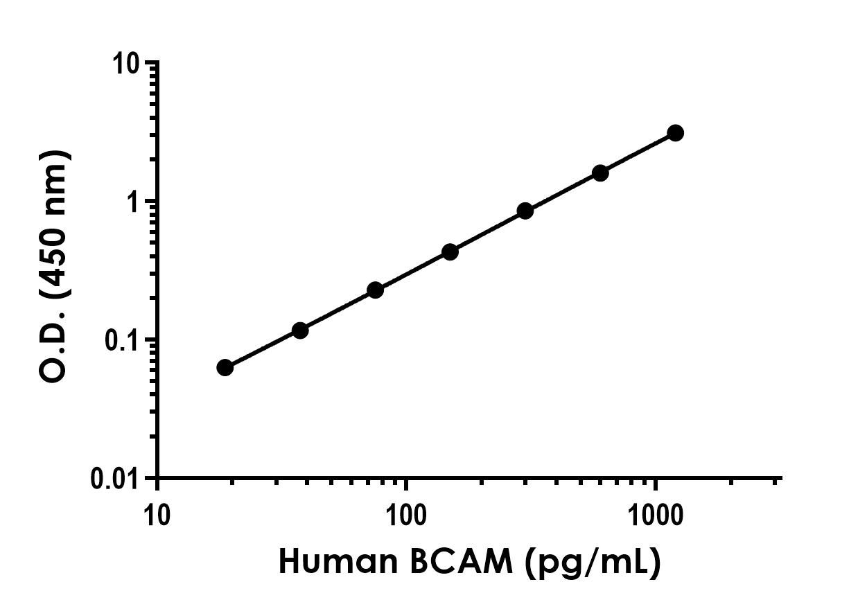 Sandwich ELISA - Human BCAM (CD239) ELISA Kit (AB304935)