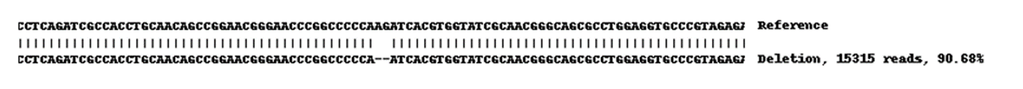 Next Generation Sequencing - Human BCAM knockout A-431 cell line (AB269619)