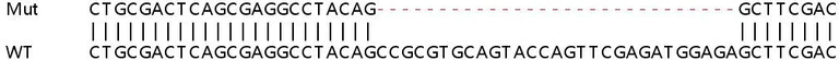 Sanger Sequencing - Human BCAR3 (NSP2) knockout HeLa cell line (AB265399)
