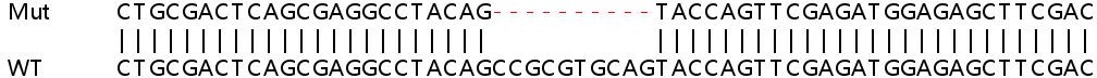 Human BCAR3 (NSP2) knockout HeLa cell lysate