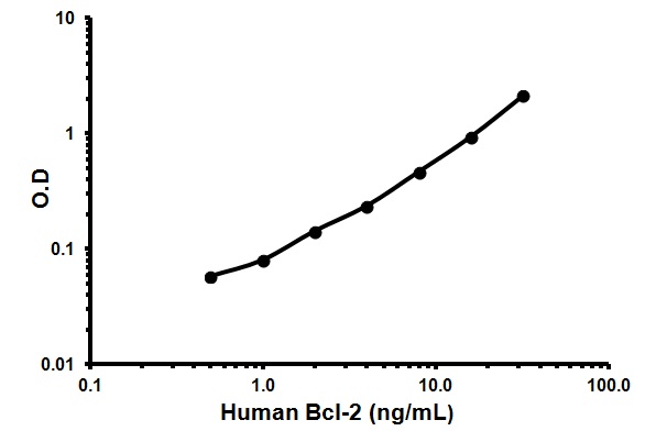 Sandwich ELISA - Human Bcl-2 ELISA Kit (AB119506), expandable thumbnail