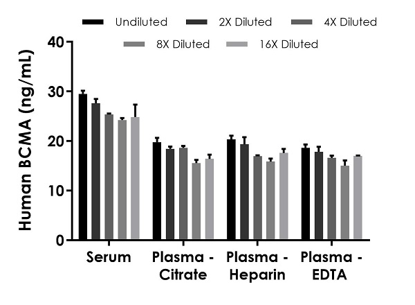 Sandwich ELISA - Human BCMA ELISA Kit (AB263875), expandable thumbnail