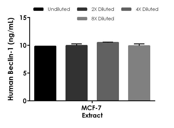 Sandwich ELISA - Human Beclin-1 ELISA Kit (AB254511)