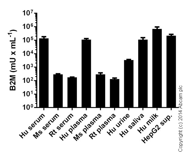 Sandwich ELISA - Human beta 2 Microglobulin ELISA Kit (AB108885)