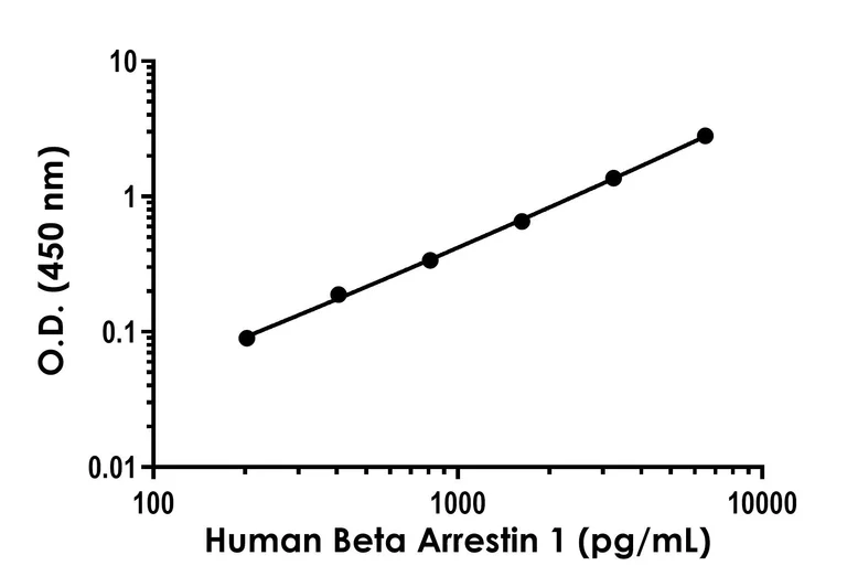 Sandwich ELISA - Human Beta Arrestin 1 ELISA Kit (AB320054)