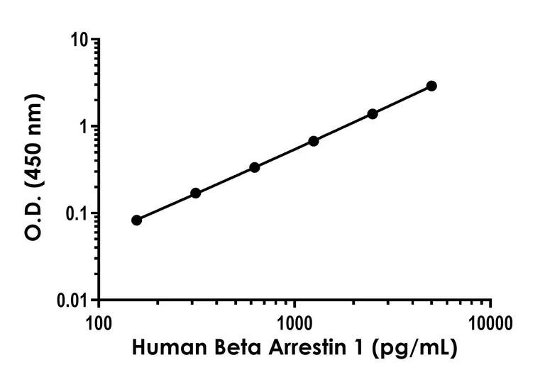 Sandwich ELISA - Human Beta Arrestin 1 ELISA Kit (AB320054)