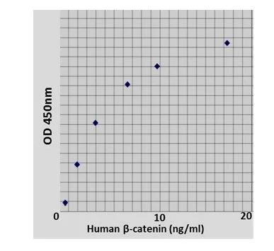 Sandwich ELISA - Human Beta catenin ELISA Kit (AB285328)