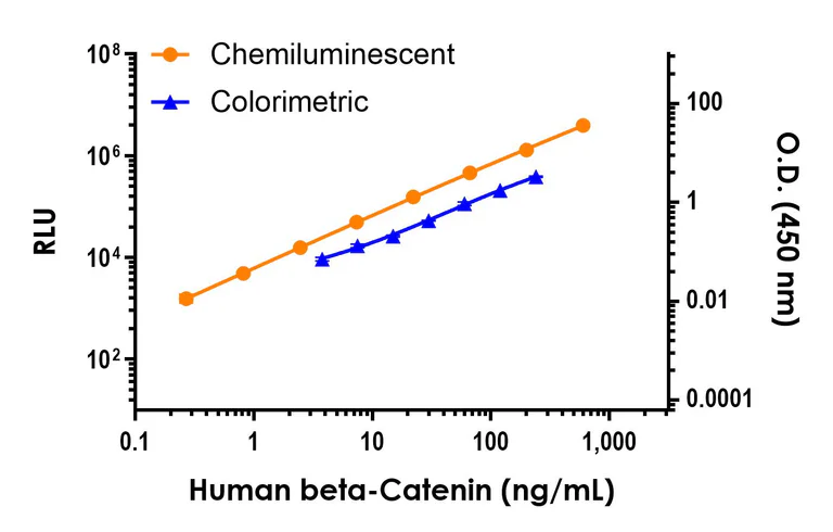 Sandwich ELISA - Human Beta Catenin ELISA Kit, Chemiluminescent (AB327292)