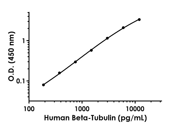 Sandwich ELISA - Human Beta-tubulin ELISA Kit (AB245722)