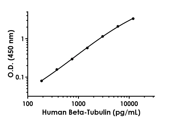 Sandwich ELISA - Human Beta-tubulin ELISA Kit (AB245722)