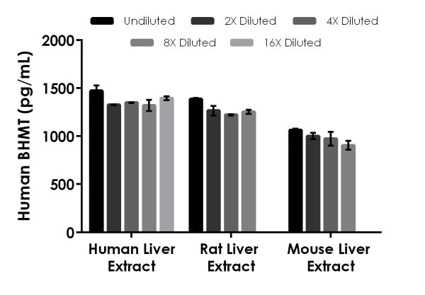 Sandwich ELISA - Human BHMT ELISA Kit (AB221830)