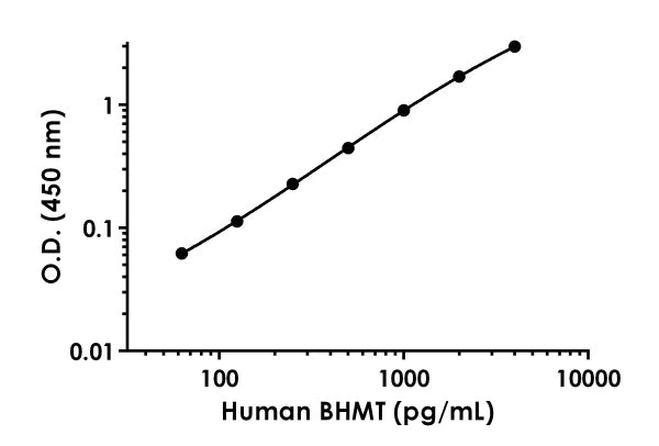 Sandwich ELISA - Human BHMT ELISA Kit (AB221830)