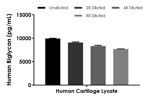 Sandwich ELISA - Human Biglycan ELISA Kit (AB245709)