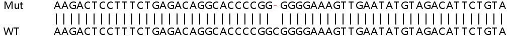 Sanger Sequencing - Human BIRC2 (cIAP1) knockout HeLa cell line (AB265896), expandable thumbnail