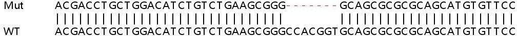 Sanger Sequencing - Human BLMH knockout HeLa cell lysate (AB258792)