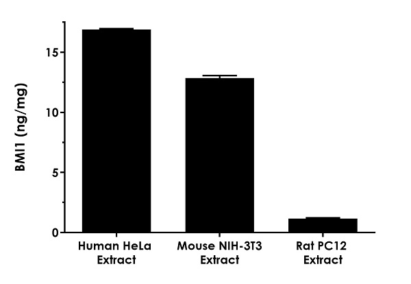 Sandwich ELISA - Human BMI1 ELISA Kit (AB272210)