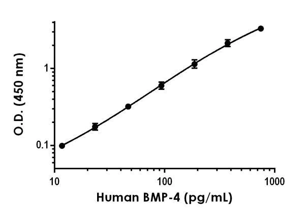 Sandwich ELISA - Human BMP-4 ELISA Kit (AB231930)