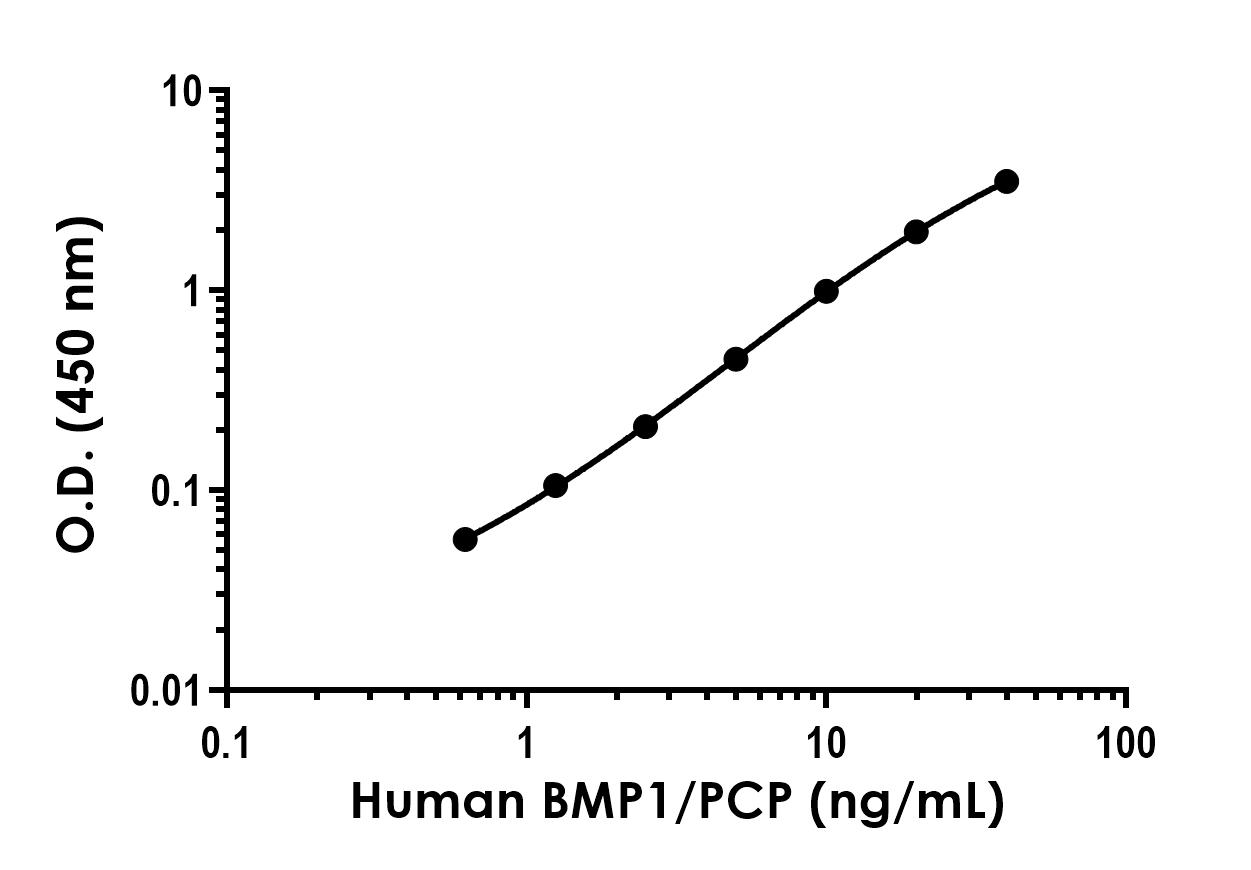Sandwich ELISA - Human BMP1/PCP Antibody Pair - BSA and Azide free (AB303682), expandable thumbnail