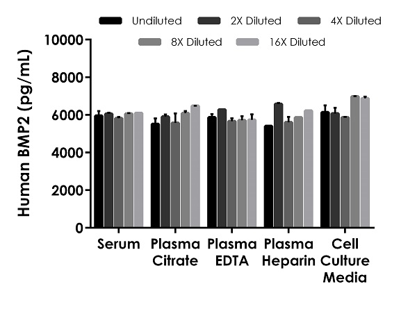 Sandwich ELISA - Human BMP2 ELISA Kit (AB277085), expandable thumbnail