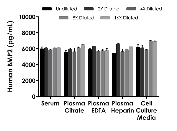 Sandwich ELISA - Human BMP2 ELISA Kit (AB277085)