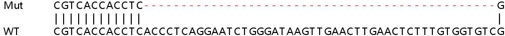 Sanger Sequencing - Human BMP6 knockout HeLa cell line (AB265962), expandable thumbnail