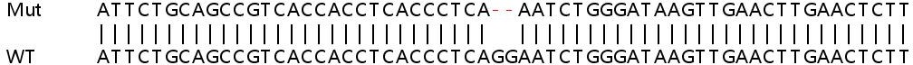 Sanger Sequencing - Human BMP6 knockout HeLa cell line (AB265962), expandable thumbnail