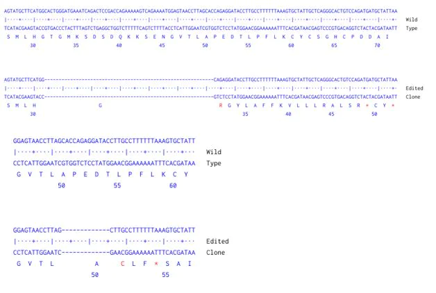 Next Generation Sequencing - Human BMPR1A knockout A549 cell line (AB286743)