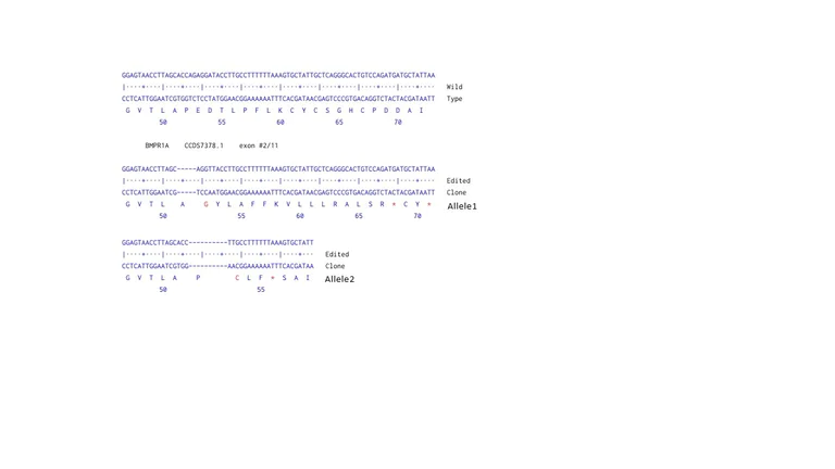 Next Generation Sequencing - Human BMPR1A knockout A549 cell line (AB286743)