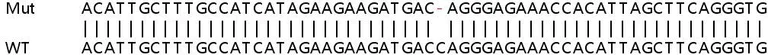 Sanger Sequencing - Human BMPR1A knockout HeLa cell lysate (AB257193)