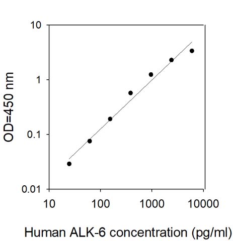 Sandwich ELISA - Human BMPR1B ELISA Kit (AB309448)