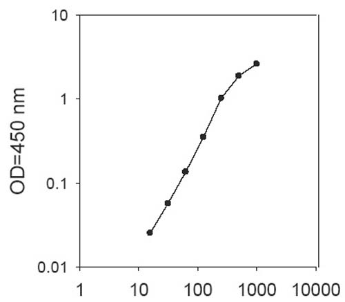 Sandwich ELISA - Human BNP ELISA Kit (AB193694), expandable thumbnail