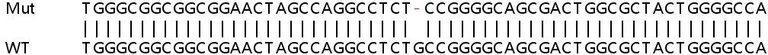 Sanger Sequencing - Human BOD1 knockout HeLa cell line (AB265086)