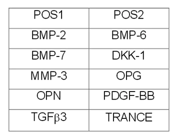 Multiplex Protein Detection - Human Bone Metabolism Antibody Array (10 Targets) - Quantitative (AB197424)