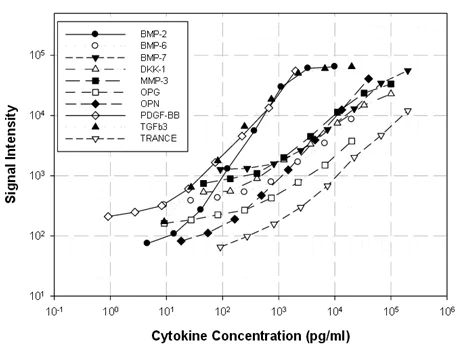 Multiplex Protein Detection - Human Bone Metabolism Antibody Array (10 Targets) - Quantitative (AB197424)