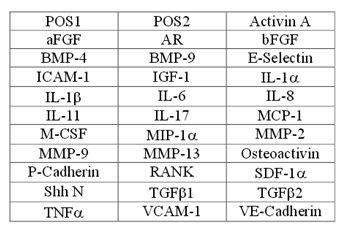 Multiplex Protein Detection - Human Bone Metabolism Antibody Array (31 Targets) - Quantitative (AB197423)