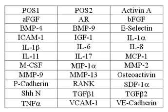 Multiplex Protein Detection - Human Bone Metabolism Antibody Array (31 Targets) - Quantitative (AB197423)