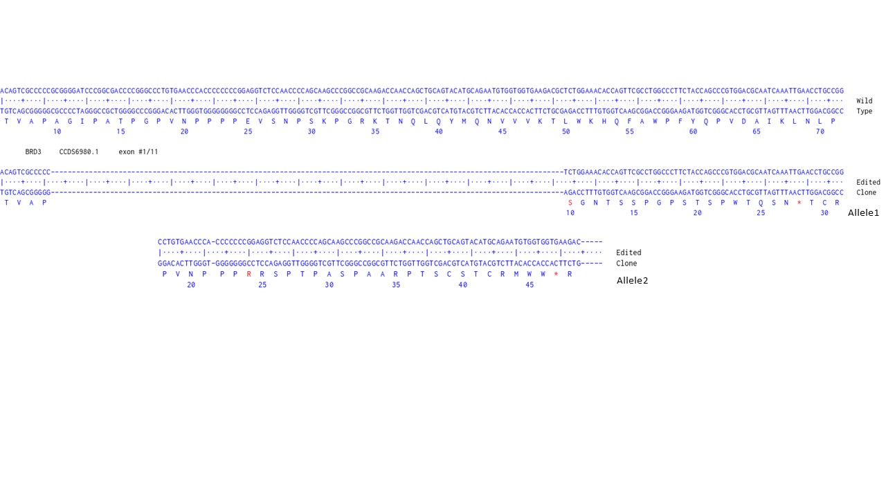 Next Generation Sequencing - Human BRD3 knockout HCT116 cell line (AB287239), expandable thumbnail