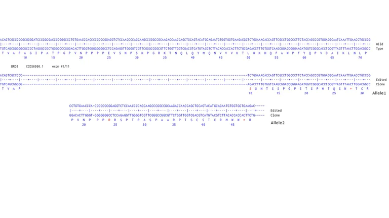 Next Generation Sequencing - Human BRD3 knockout HCT116 cell line (AB287239)