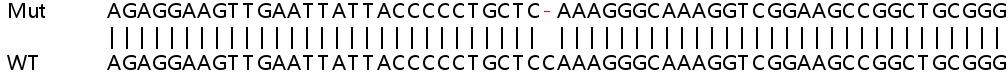 Sanger Sequencing - Human BRD3 knockout HEK-293T cell lysate (AB258335), expandable thumbnail