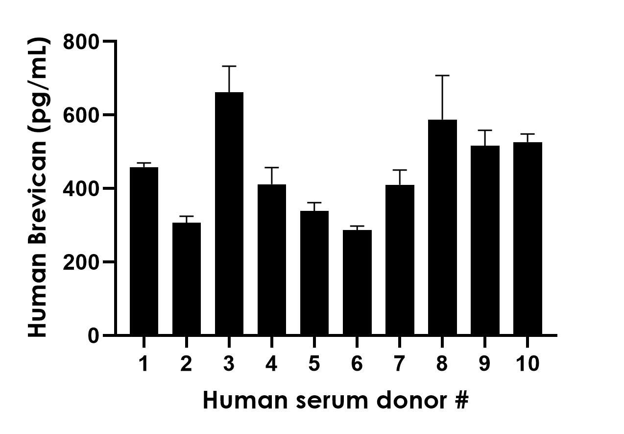 Sandwich ELISA - Human Brevican ELISA Kit (AB315039)