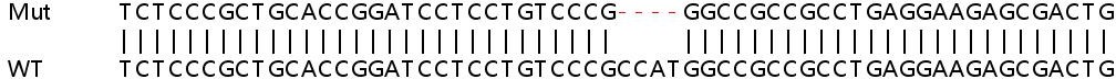 Human BRK1 (C3orf10) knockout HeLa cell line
