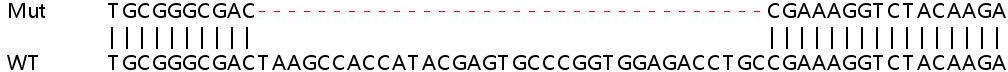 Sanger Sequencing - Human BRPF1 (Peregrin) knockout HEK-293T cell line (AB266549), expandable thumbnail