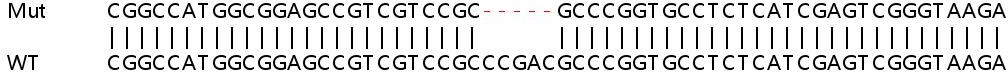 Sanger Sequencing - Human BRWD1 (WDR9) knockout HeLa cell line (AB264995), expandable thumbnail