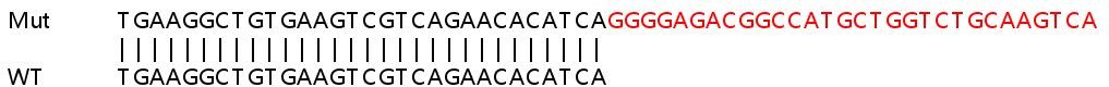 Sanger Sequencing - Human BSG (CD147) knockout HEK-293T cell lysate (AB256853), expandable thumbnail