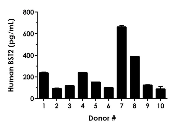 Sandwich ELISA - Human BST2 ELISA Kit (AB231931)