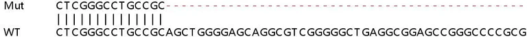 Sanger Sequencing - Human BTBD1 knockout HEK-293T cell lysate (AB258797)