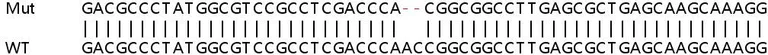 Sanger Sequencing - Human C12orf57 (GRCC10) knockout HEK-293T cell line (AB266109)