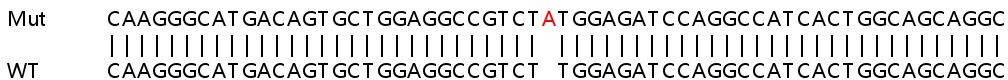 Sanger Sequencing - Human C19orf48 knockout HEK-293T cell line (AB266071)