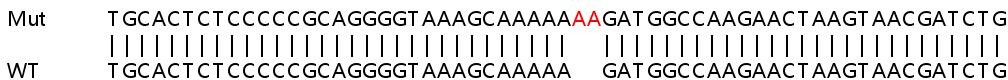 Sanger Sequencing - Human C19orf66 knockout A549 cell line (AB267111), expandable thumbnail